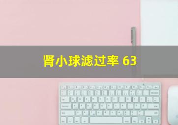 肾小球滤过率 63